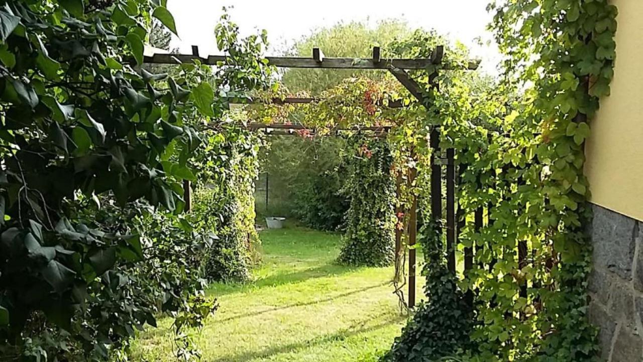 Genesungsort Landhaus Dammert Oppach Екстер'єр фото